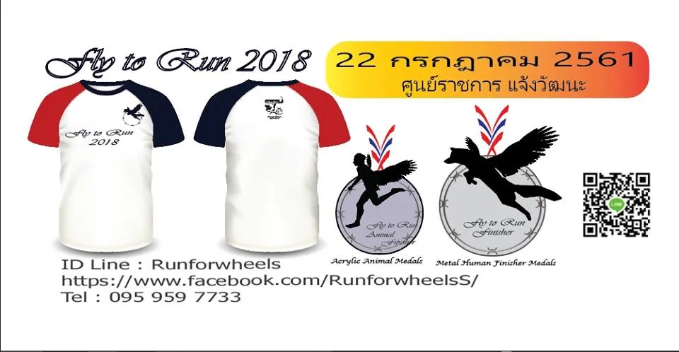 Fly to Run 2018's banner