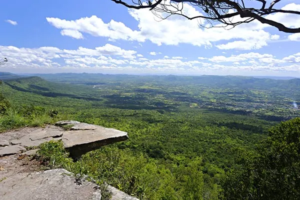 Section image