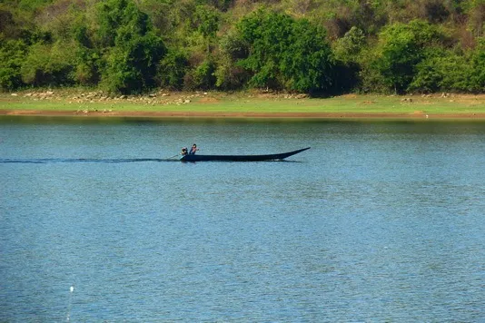 Section image