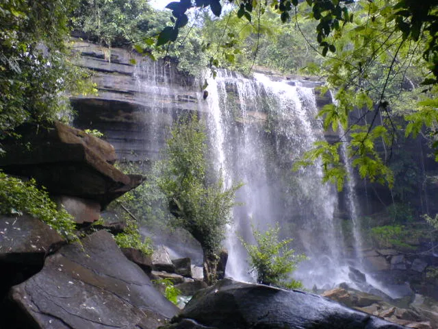 Section image