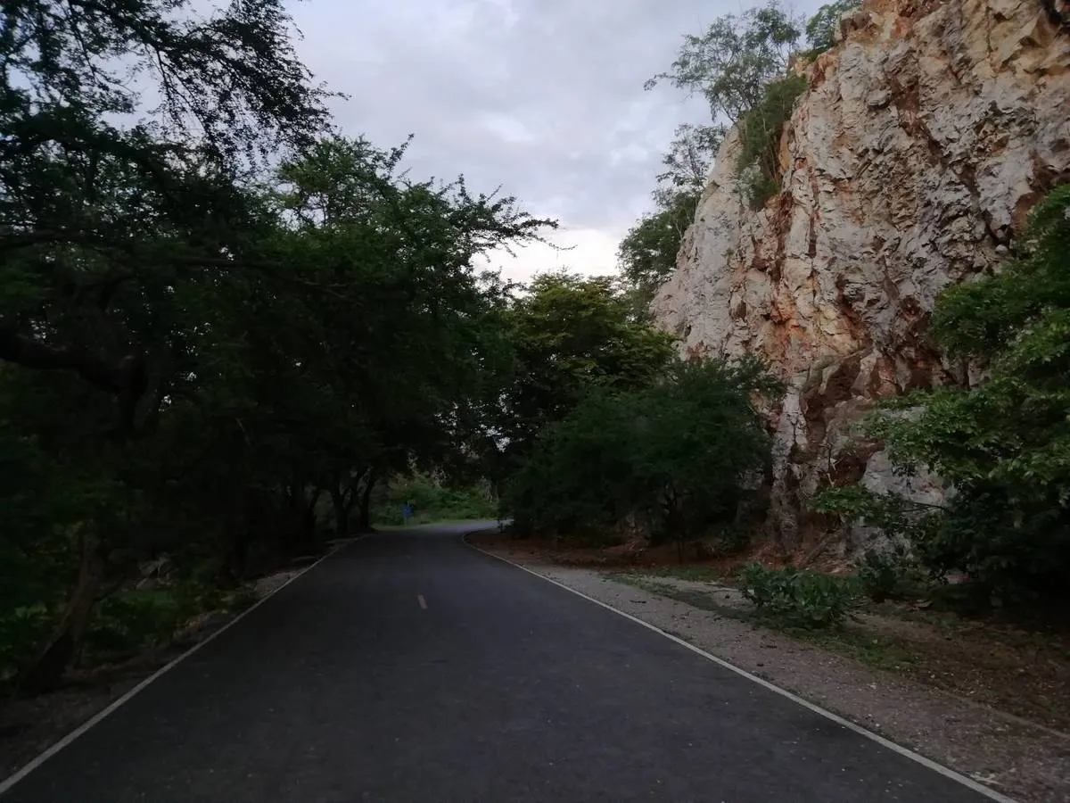 Section image