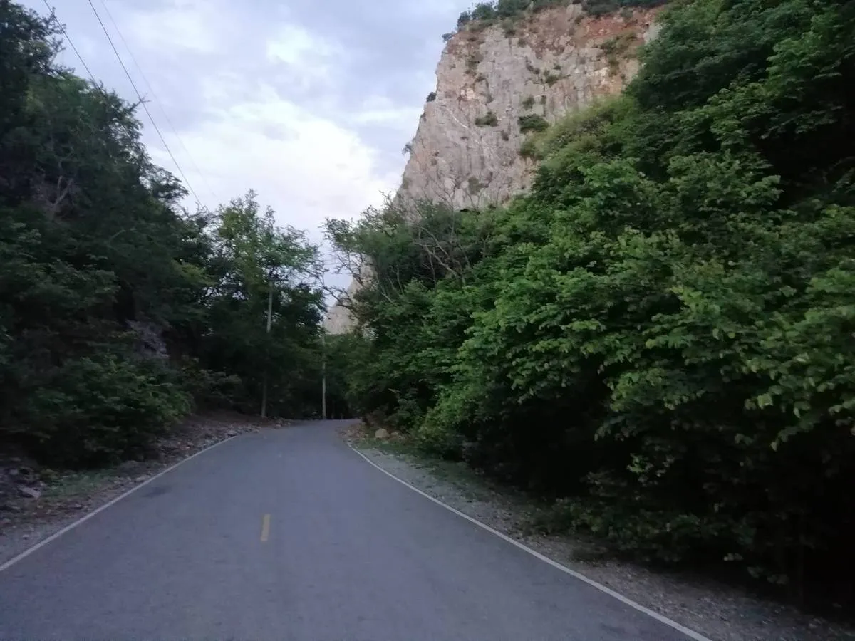 Section image