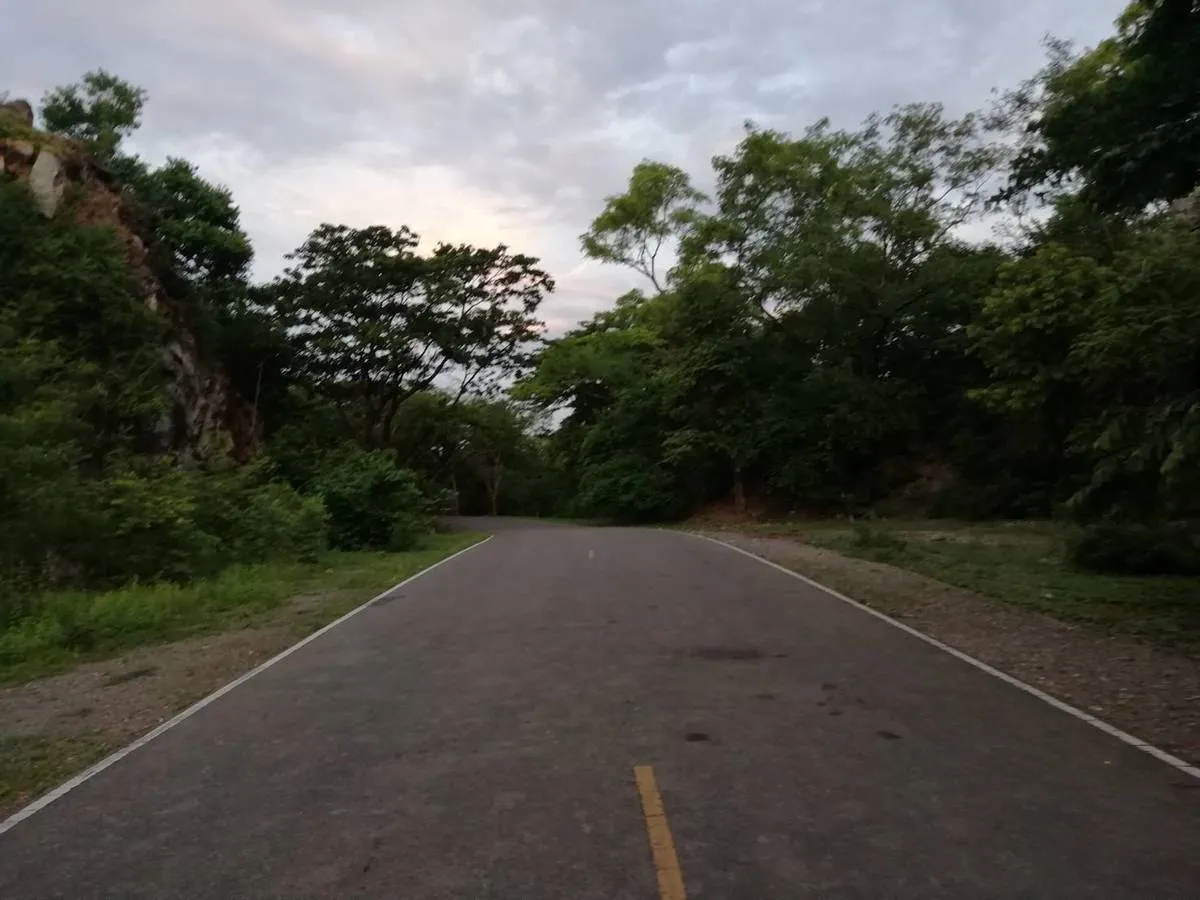 Section image
