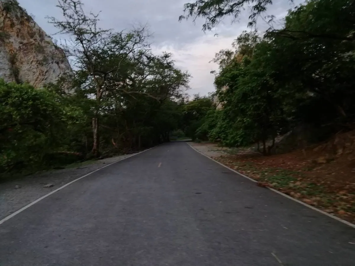 Section image