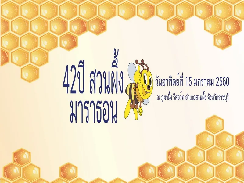 42 ปี สวนผึ้ง มาราธอน 2560's banner
