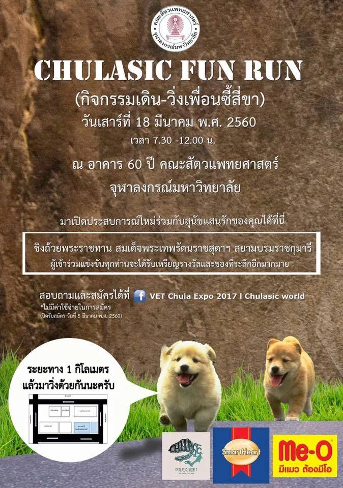 เดิน-วิ่งเพื่อนซี้สี่ขา Chulasic FUN RUN's banner