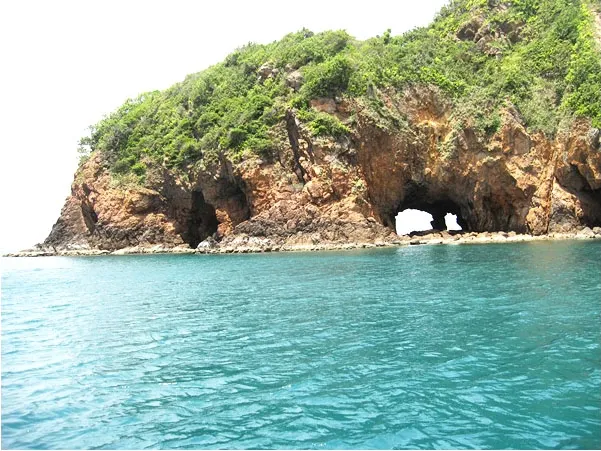 Section image
