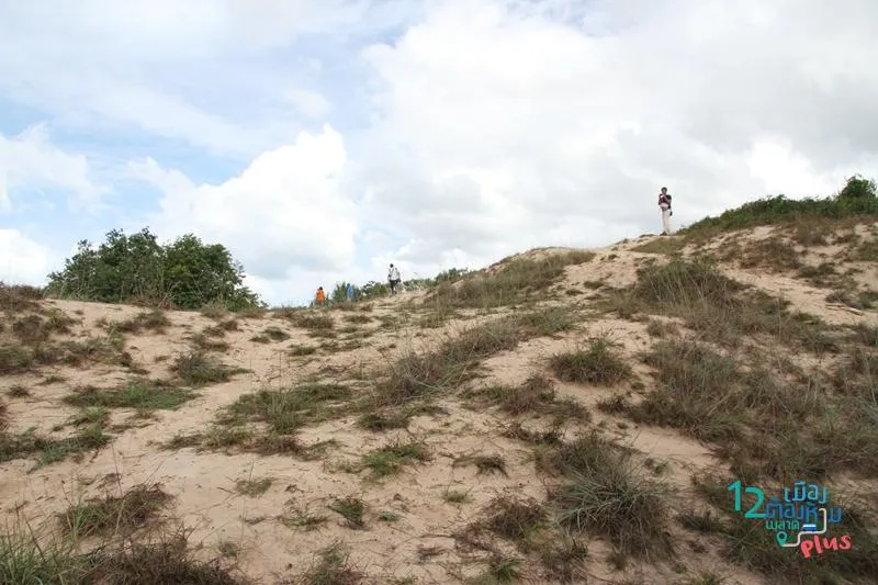 Section image